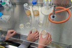 BIOL12