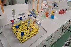 BIOL13