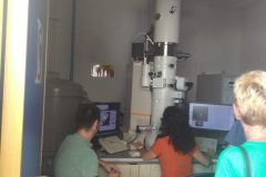 Erasmus-staz-Valencia-8-scaled