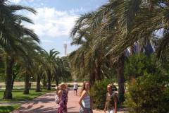 Erasmus-zahranicna-staz-Polytechnicka-univerzita-vo-Valencii-2019-54