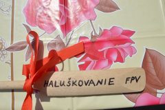 Haluskovanie-2018-4
