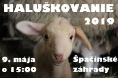 Haluskovanie-2019-1