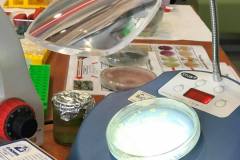 240499476_991148341674047_3469333945478153827_n