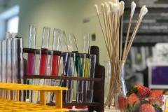 240579172_203283138453913_7249608547029891388_n-1