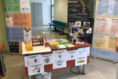 240610682_446182516557037_6400321766941972971_n-1