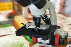 240671094_451114915993461_6554554755634764064_n-1