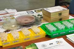 240734367_1004249770145517_3603384332923719701_n-1