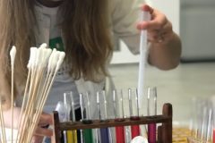 2661e259-d3a9-4017-8e5f-955b8d1304bf