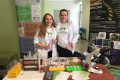 426bd053-bf71-49d3-83a9-3514078da42d