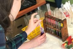 97b45e66-6d20-44a3-8489-d0860a053564