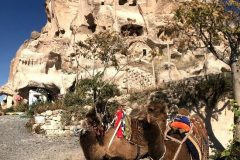 1_Konferencia-Biologicke-a-medicinske-vedy-Turecko-Nigde-2019-2