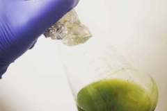 125952512_4865171070189999_3318658006217597980_n