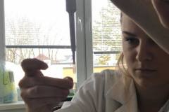 238573610_624474988940002_5863829118456757156_n