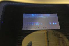 238963439_579128603132765_842708938562615761_n