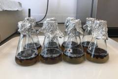 238999727_365017291789438_9160591350079371053_n