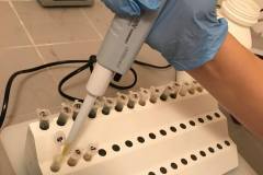 239205469_4020398418069709_7190815996190843063_n