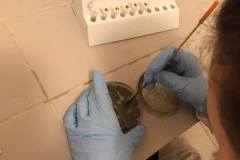 240114700_524843058607502_6599766550371968828_n