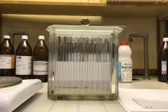 240400635_958599418022916_3045681741272470391_n