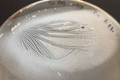 240457478_4418271518229781_6004898317238823940_n