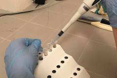 240502479_4479382008810196_4784887247279379605_n