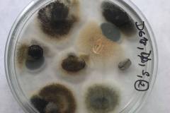 240530050_224459502985936_2274526304622947679_n