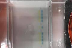 240552717_918345522087169_8151002877767589626_n