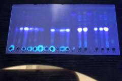 240832810_385579032937218_6888788762511169059_n