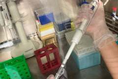 241054407_415356929928842_9044754432894771949_n