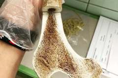 241099150_4659456160739372_1100456207210684002_n