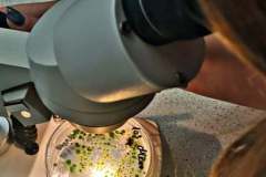 241117657_365755571693294_4037072359607949333_n