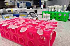 241122114_173085684934920_8660616667956089206_n