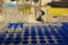 241139503_872218000371064_828389435604364502_n