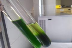 Na-labakoch-11-scaled