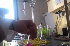 Na-labakoch-13-scaled