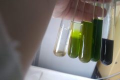 Na-labakoch-16-scaled