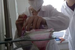 Na-labakoch-17-scaled