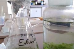 Na-labakoch-18-scaled