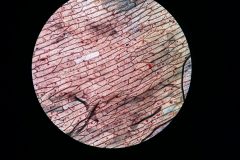 Na-labakoch-21-scaled