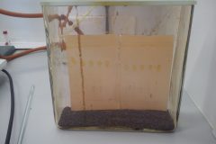 Na-labakoch-32-scaled