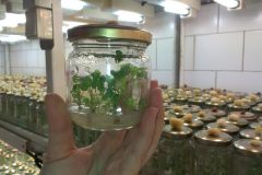 Na-labakoch-33-scaled