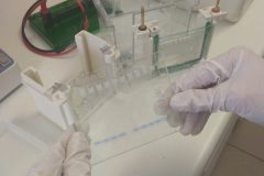 Na-labakoch-34-scaled