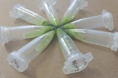 Na-labakoch-35-scaled