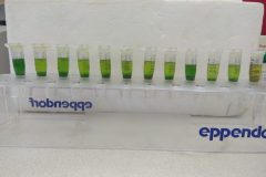 Na-labakoch-36-scaled