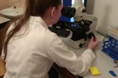 Na-labakoch-38-scaled