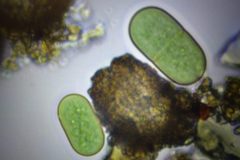 Na-labakoch-39-scaled