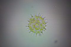 Na-labakoch-41-scaled