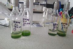 Na-labakoch-43-scaled