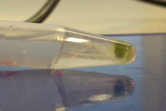 Na-labakoch-45-scaled