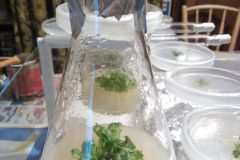 Na-labakoch-50-scaled