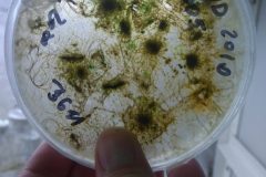 Na-labakoch-51-scaled